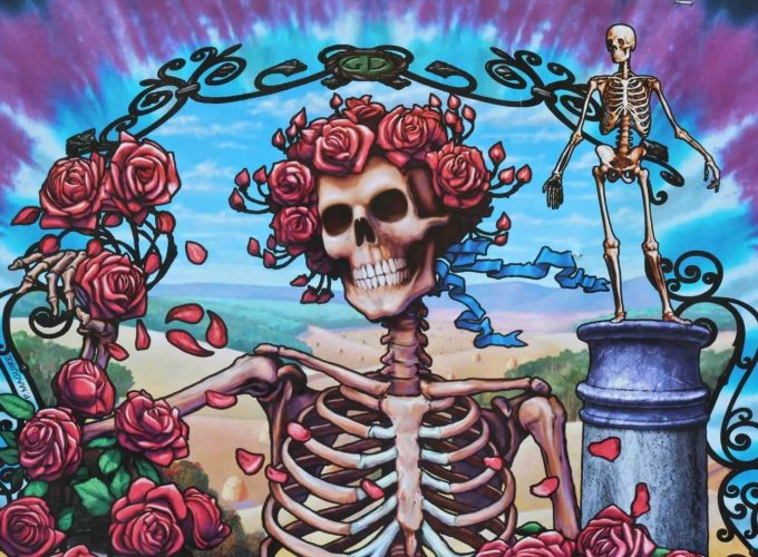 grateful dead 13