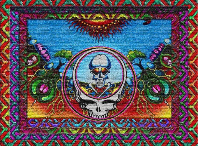 grateful dead 14