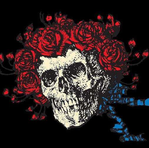 grateful dead 5