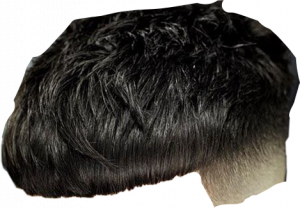 Edgar Haircut PNG Clipart