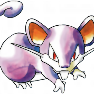 Rattata Pokemon PNG Photos