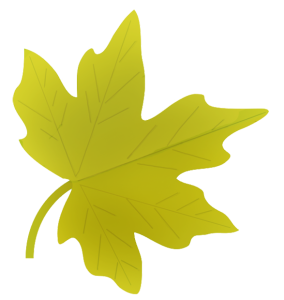 Autumn Yellowish Leaf Transparent Background9
