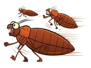 Bed Bugs Free PNG