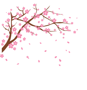 Cherry Blossom Free PNG