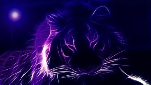 Purple Background Wallpaper